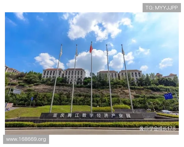 金杯娱乐：引领娱乐产业新潮流的创新力量